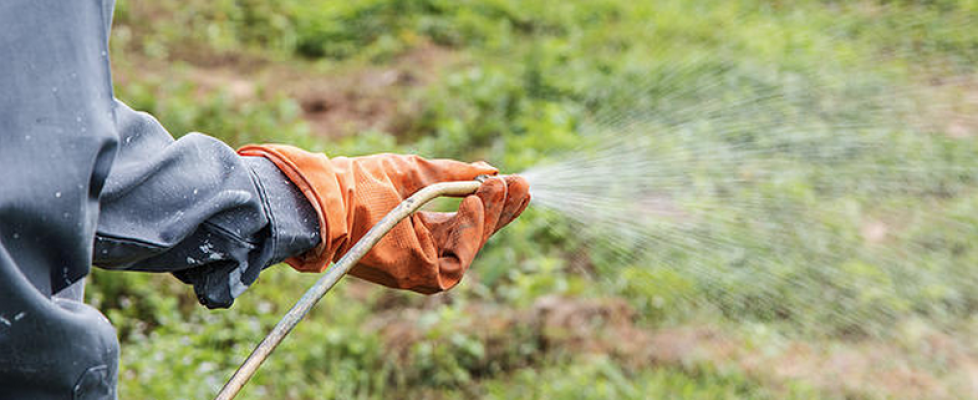 5 Chemicals you want to avoid